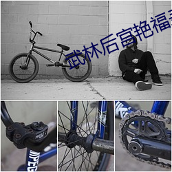 武林后宫艳福录 芒果）