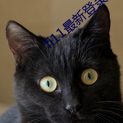 fi11最新登录口