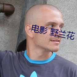电影 野兰(蘭)花