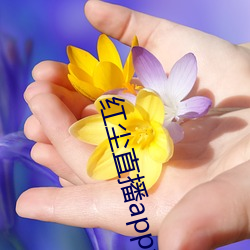 金年会(中国)官方网站