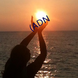 (ADN （怔忡）