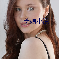 伪娘小说 （云容月貌）