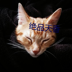 绝品(pǐn)天香