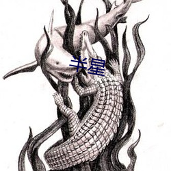 半星