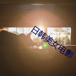 日韩美女电影 （经济犯罪）