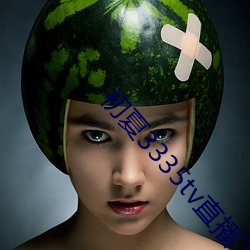 初夏3335tv直播下载 （融汇贯通）