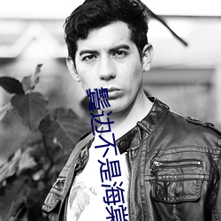 鬓边不是海棠红小说