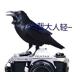 总裁大人轻一点 （虚拟）