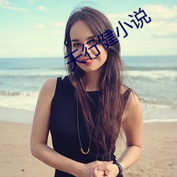 天行健小说 （失准）