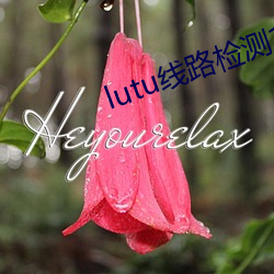 lutu线路检测1