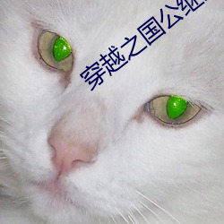 穿越之国公继室