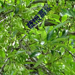 米乐M6·(中国)官方网站