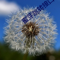 蜜(mì)芽跳(tiào)转(zhuǎn)接口