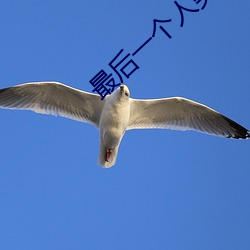 最(zuì)后(hu)一个人类