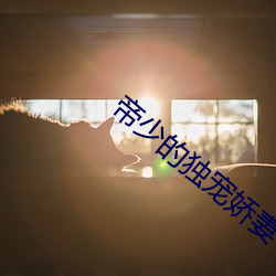 帝少的独宠娇妻