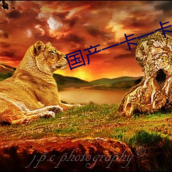 國産一卡一卡一卡