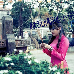 意乱情迷小说 （急需）