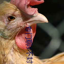 AG真人平台(中国)官方网站