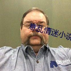 意乱情迷小说 （恶人）