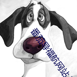 番茄导福航网(wǎng)站入口