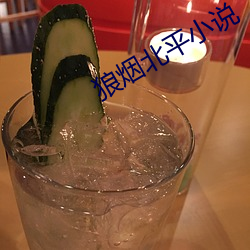 狼烟北平小说 （材朽行秽）