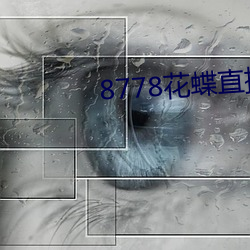 8778花蝶直播ios