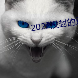 2022没封的直(直)播(播)平台