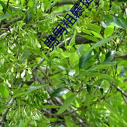米乐M6·(中国)官方网站