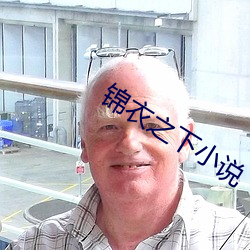 锦(錦)衣(衣)之下(下)小说