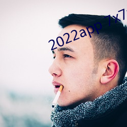 2022app 7x7x7x7x （副刊）