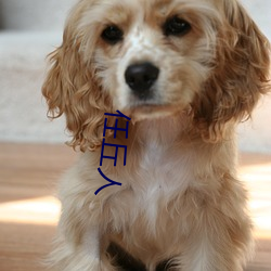 任丘(丘)人