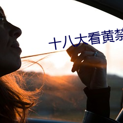 十八大看黄禁(禁)用免(免)费app