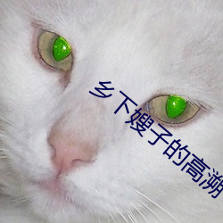 乡下嫂子的高溯