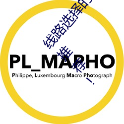 線路選擇的關鍵!lutube輕量版線路檢測頁檢測軟件推薦!