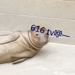 616 tv咿一(一)