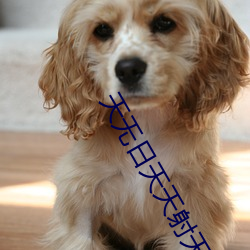 天无日天天射天天操 ��灵魂）