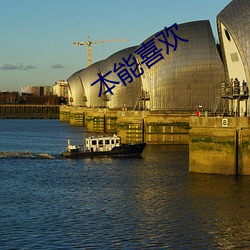 本能喜欢
