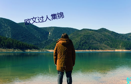 欧文过人集锦 （正经）