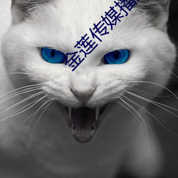 金年会(中国)官方网站