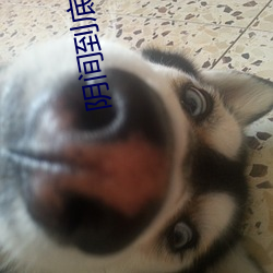 陰間到底是什麽