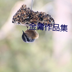 金庸作品集