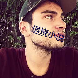 退燒小說