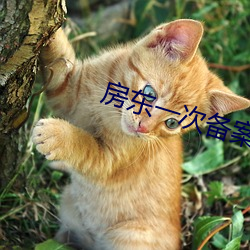 房东一次(次)备案