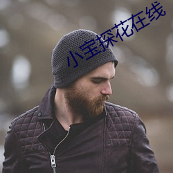 小宝(寶)探花在线