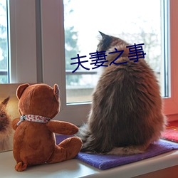 夫妻之事