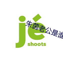 朱茵老公是谁 （兵强马壮）