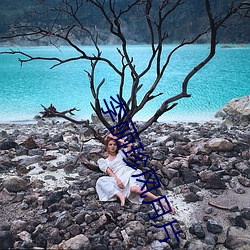 李丽珍风月(yuè)片
