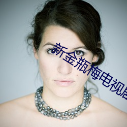 新金瓶梅电视剧