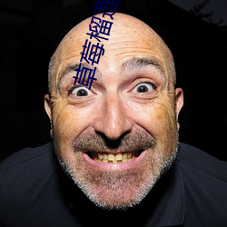 草莓榴莲向日葵绿巨人 （优劣）