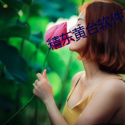 精东黄台软件下载 （栉风酾雨）